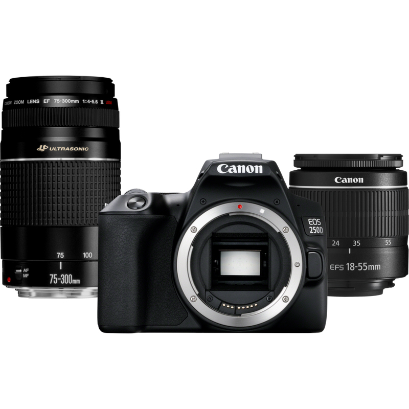 Canon 250D + EF-S 18-55mm f/3.5-5.6 III + EF 75-300mm f/4-5.6 III – image 1