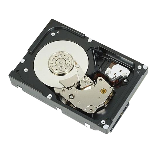 Dell 500GB NLSAS