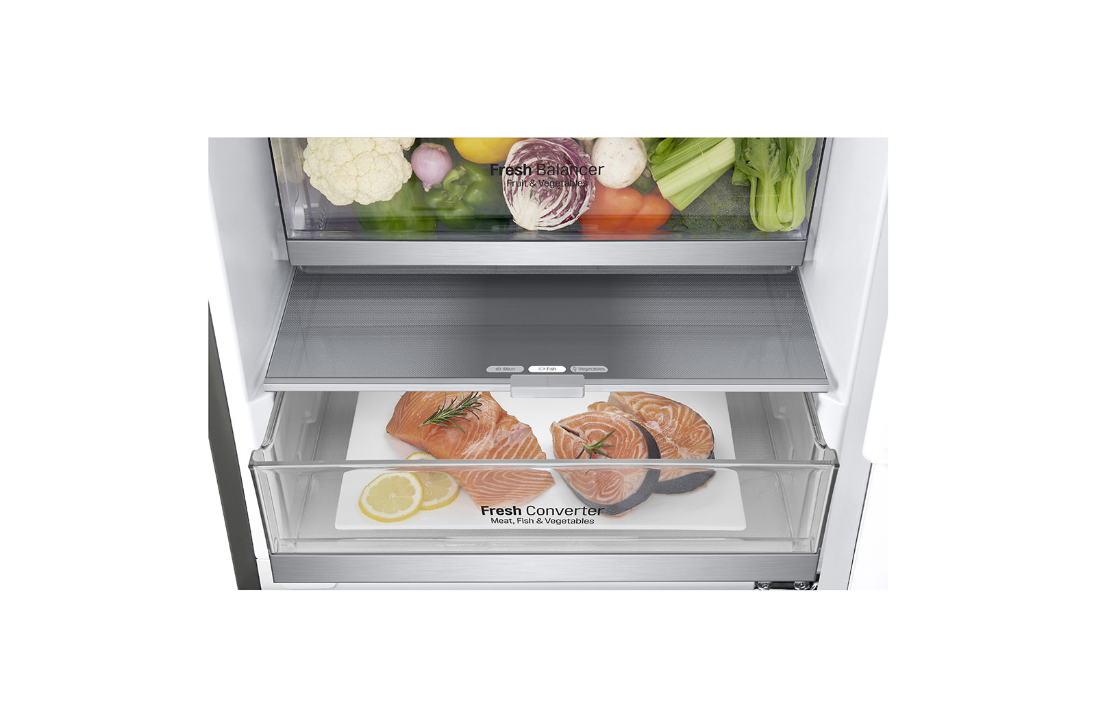 LG GBB72PZDFN fridge-freezer Freestanding – image 4