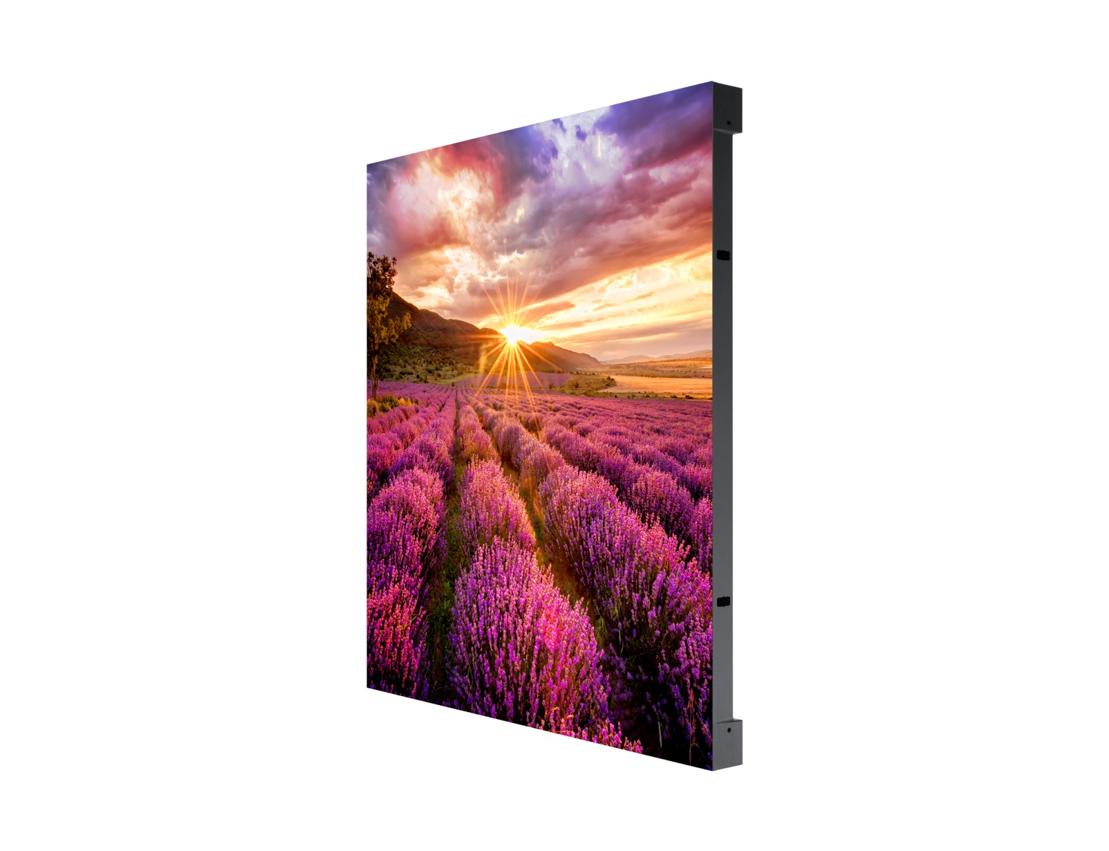 Product Gallery