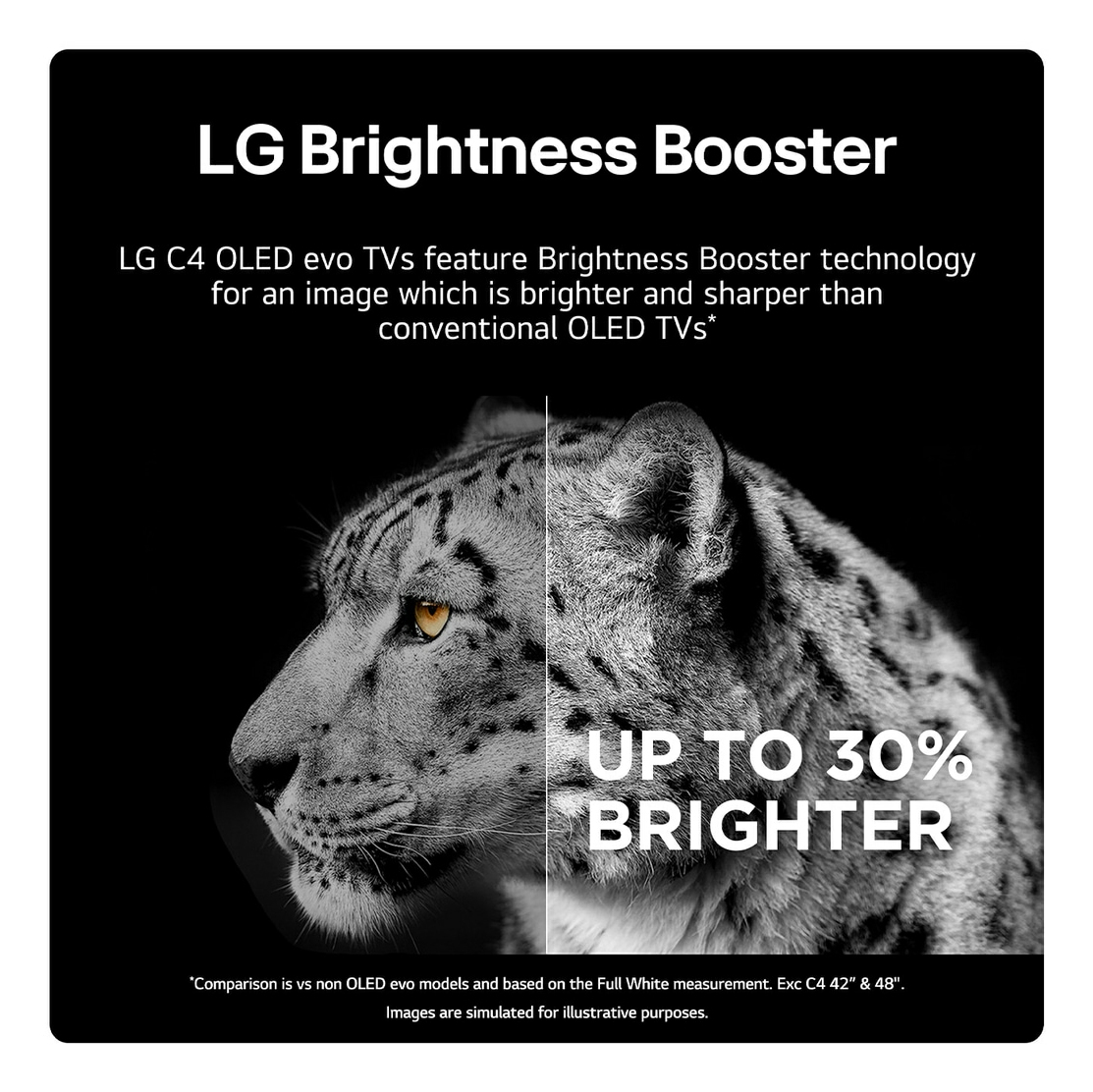 LG OLED evo C4 OLED55C45LA – image 3