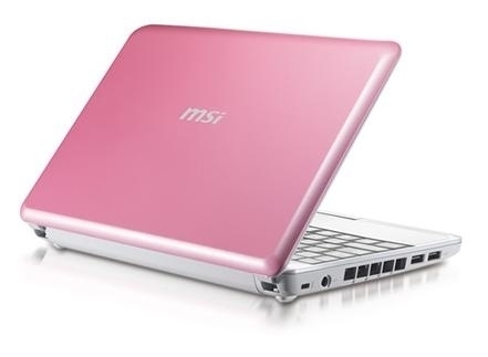 MSI Wind U100-019NE