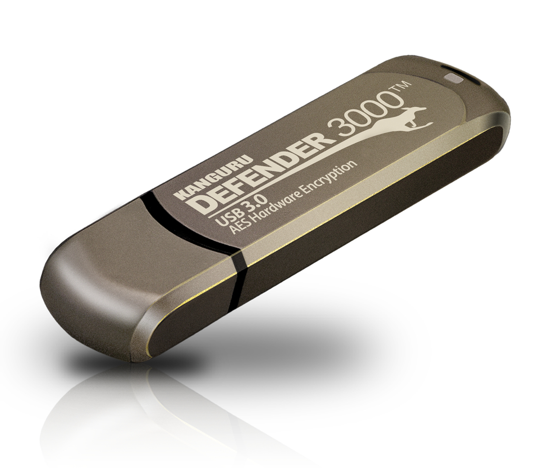iStorage Defender 3000 – image 2
