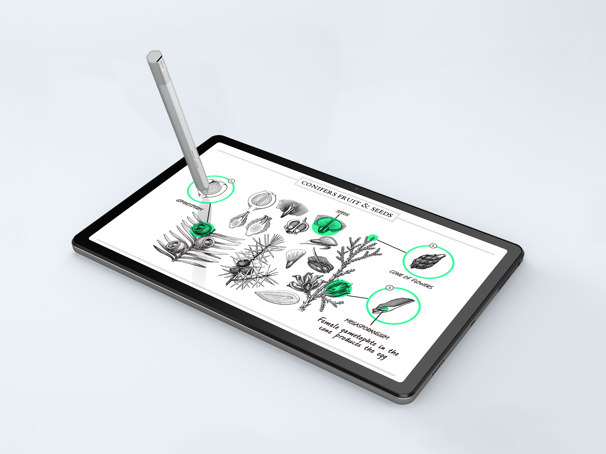 Lenovo Tab ZAAM0175TR tablet Snapdragon – image 6