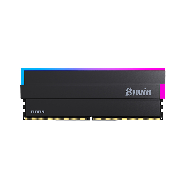 Biwin BXL54860DW1-D28FB memory module – image 1