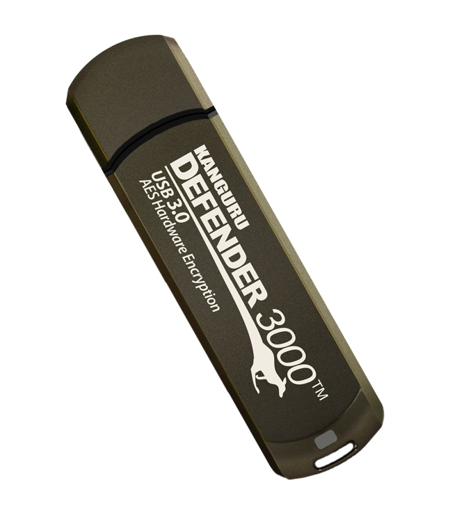 iStorage Defender 3000 – image 3