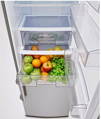 LG GBB530PZCFE fridge-freezer Freestanding – image 6