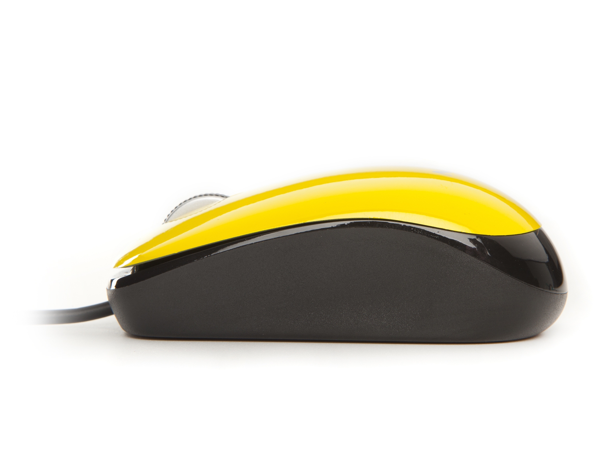 NGS Yellow Flavour – image 4