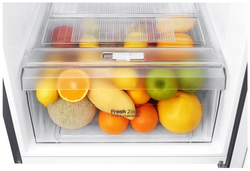 LG GT29BPPK fridge-freezer Freestanding – image 6