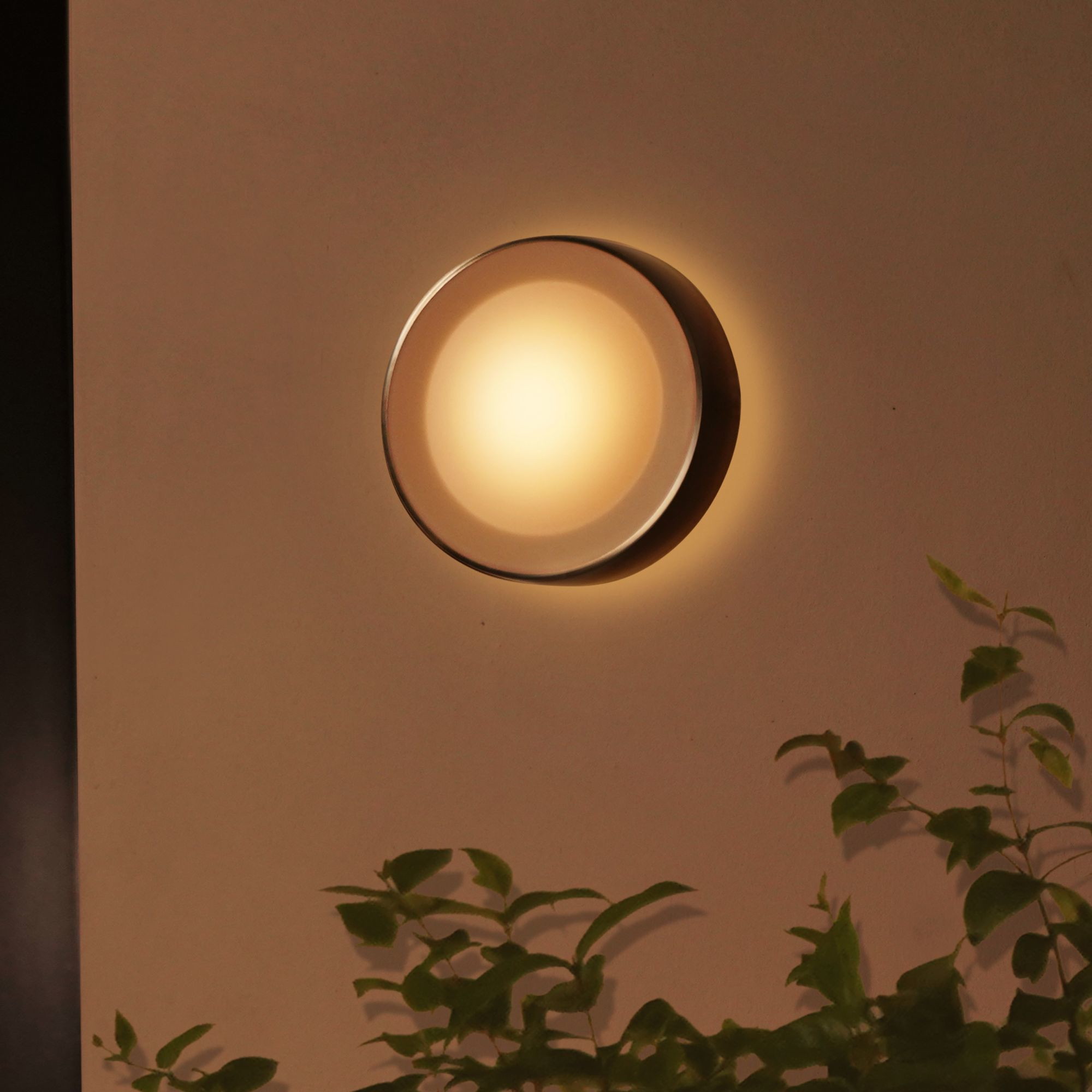 Philips by Signify Philips Hue White and colour ambience Daylo Outdoor wall light – image 5