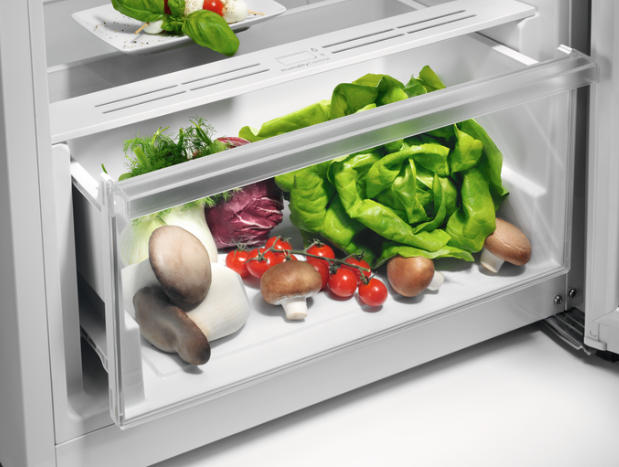 AEG RKB333E2DW fridge Freestanding – image 6