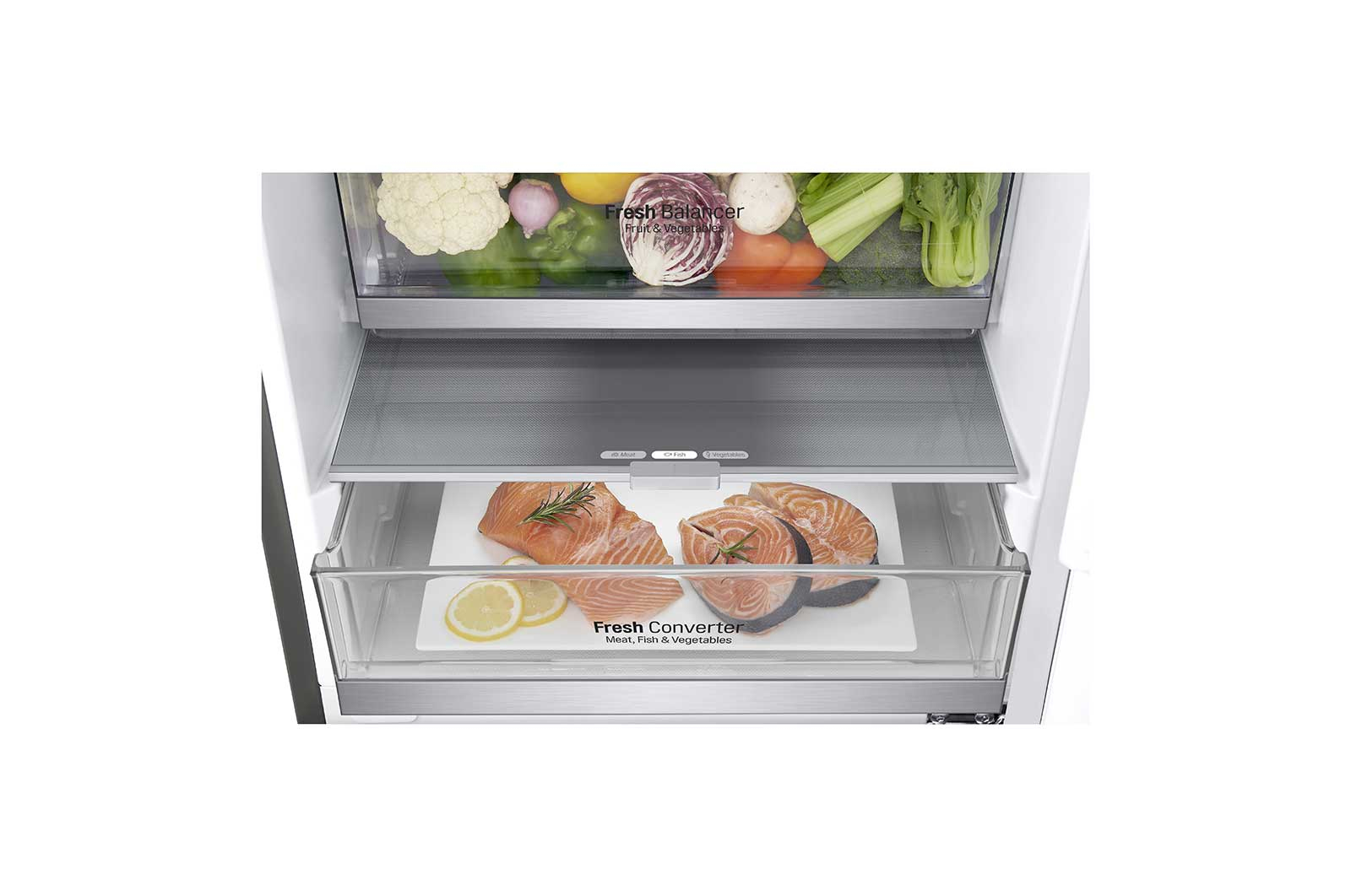 LG GBB72PZEXN fridge-freezer Freestanding – image 4