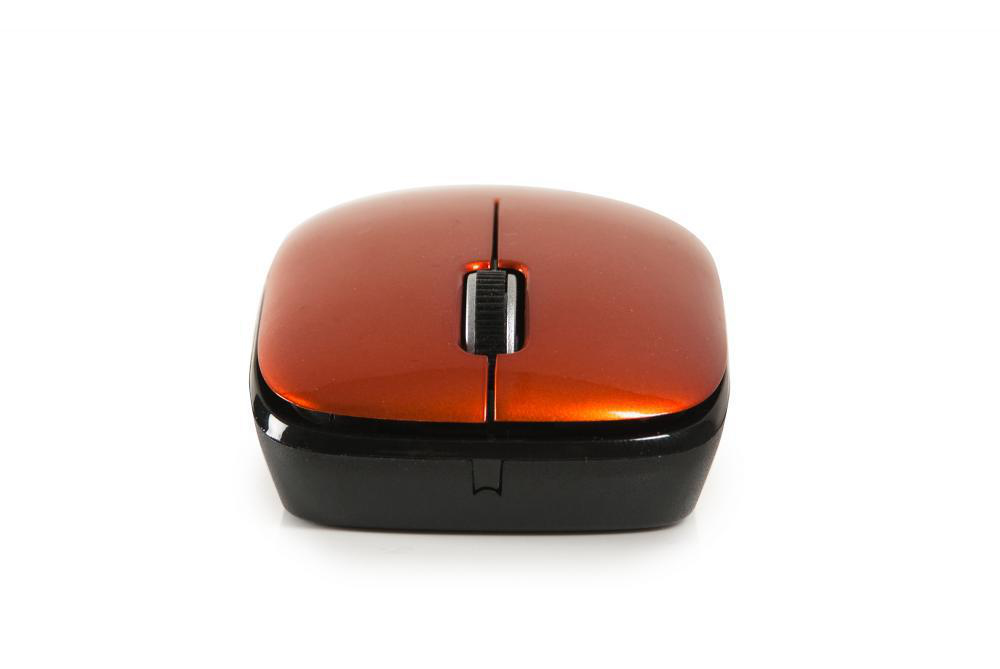 NGS Orange Spice – image 5
