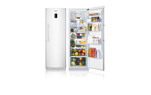 Samsung RR82FFSW1 fridge Freestanding