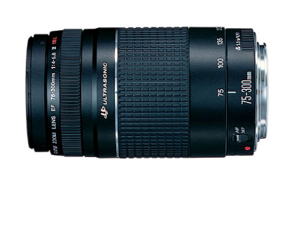 Canon 100D + 18-55DC + 75-300 – image 7