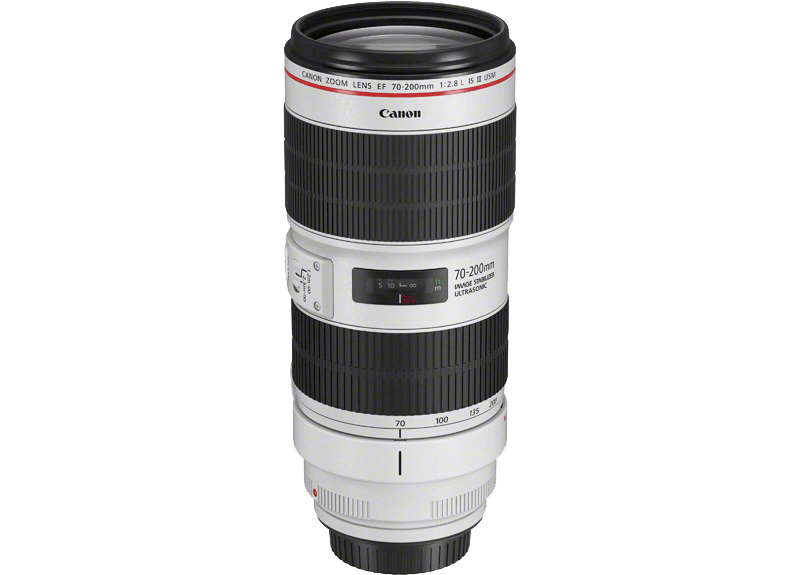 Canon 5D Mark IV + EF 70-200mm f/2.8L IS III USM – image 1