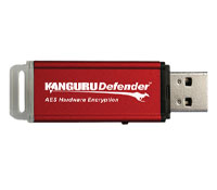 iStorage Defender 1GB