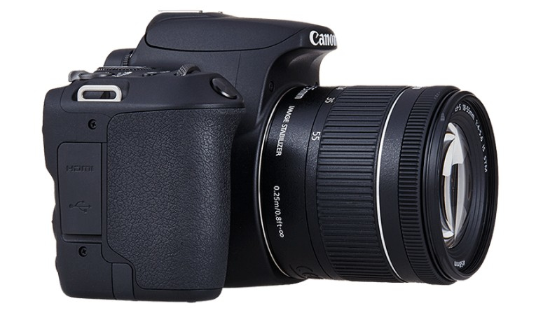 Canon EOS 200D + EF-S 18-55mm f/4-5.6 IS STM + EF 50mm f/1.8 STM – image 6