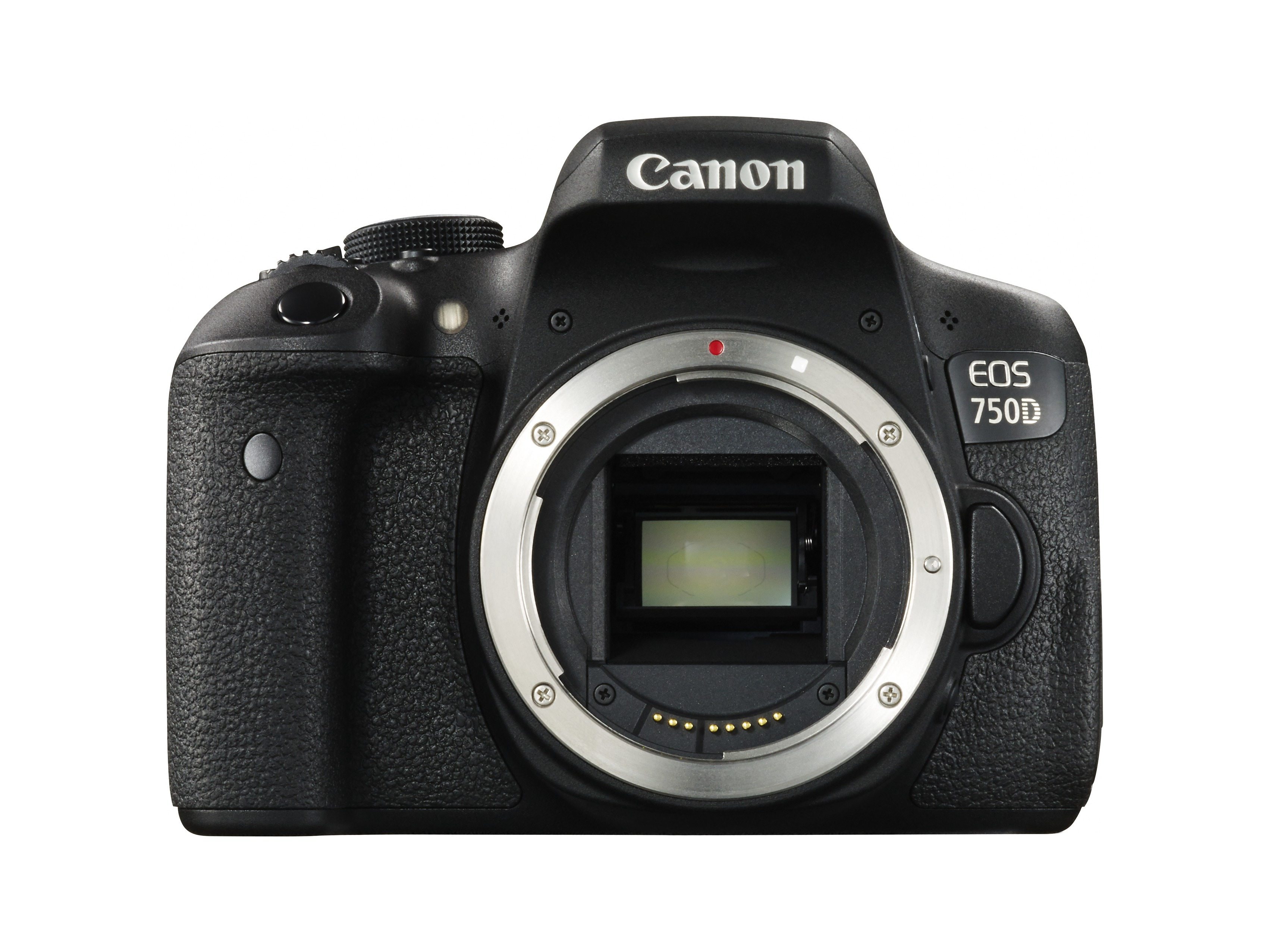 Canon 750D + CS100