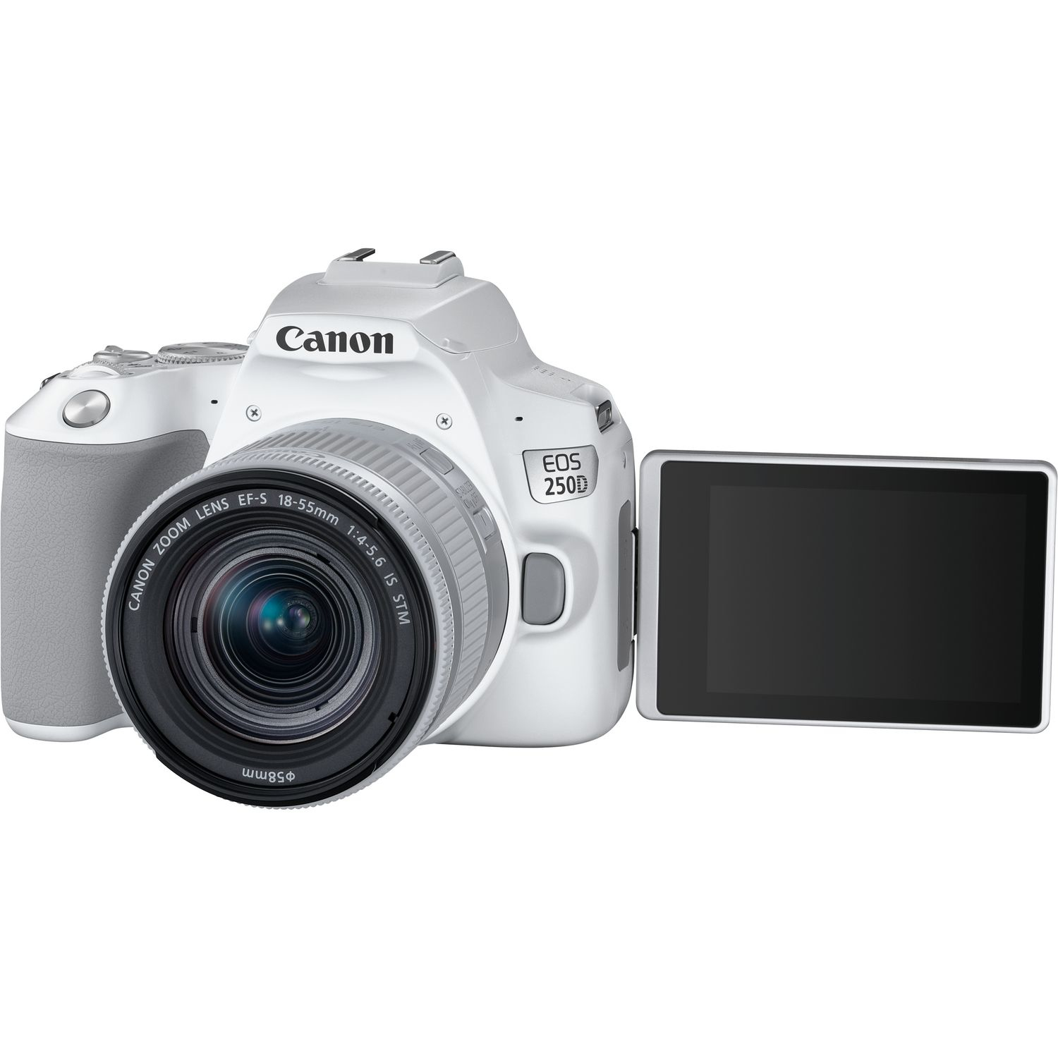 Canon 250D + EF-S 18-55mm f/4-5.6 IS STM – image 5
