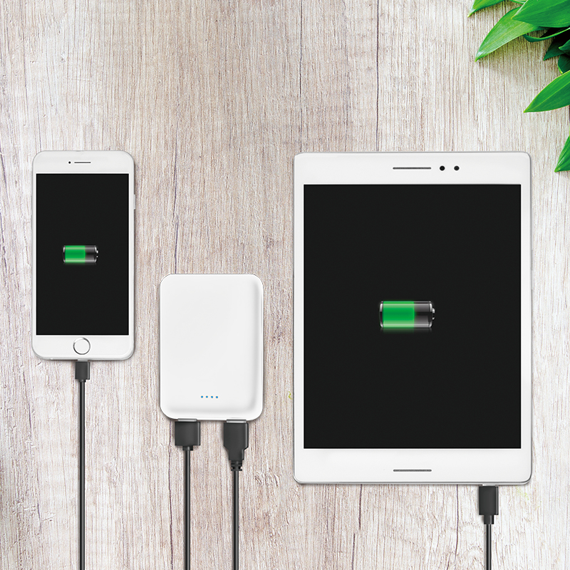 LogiLink PA0202W power bank Lithium-Ion (Li-Ion) – image 5