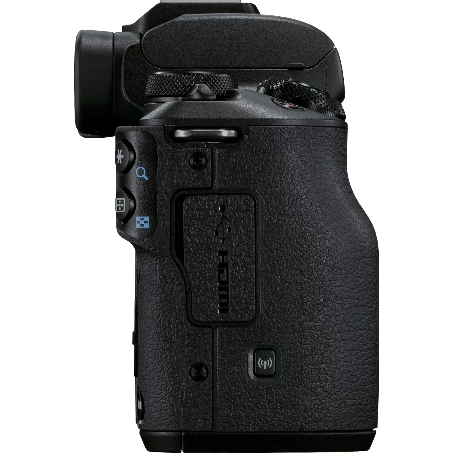 Canon EOS M50 Mark II + EF-M 18-150mm f/3.5-6.3 IS STM – image 7
