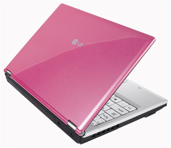LG E series E310-M.CPP1V laptop Intel Pentium Mobile T3400