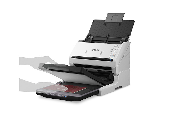 Epson WorkForce B11B261202 scanner Sheet-fed scanner – image 6