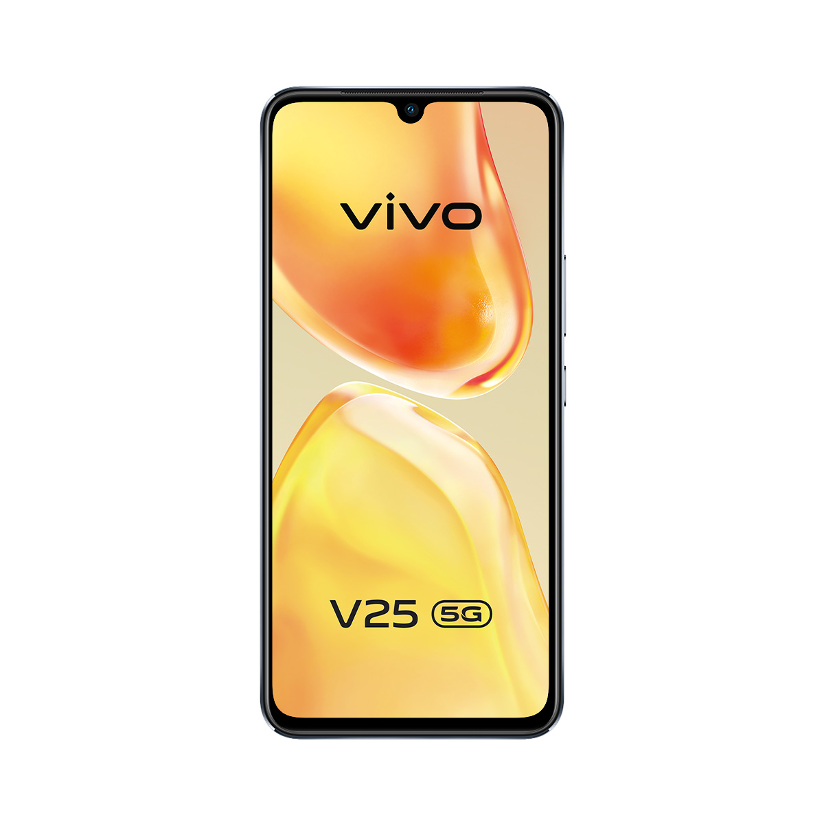vivo V25 DB – image 3