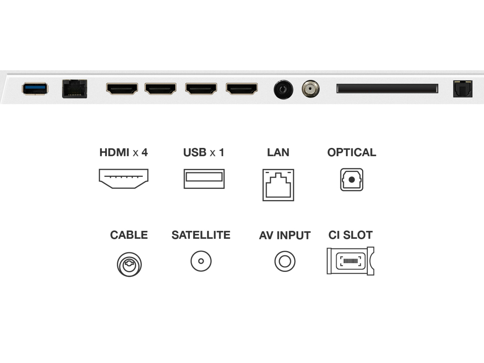 TV TCL QLED 50V5C 50 Full HD 60Hz Smart TV Android TV HDR10 Mega Contrast — photo 12