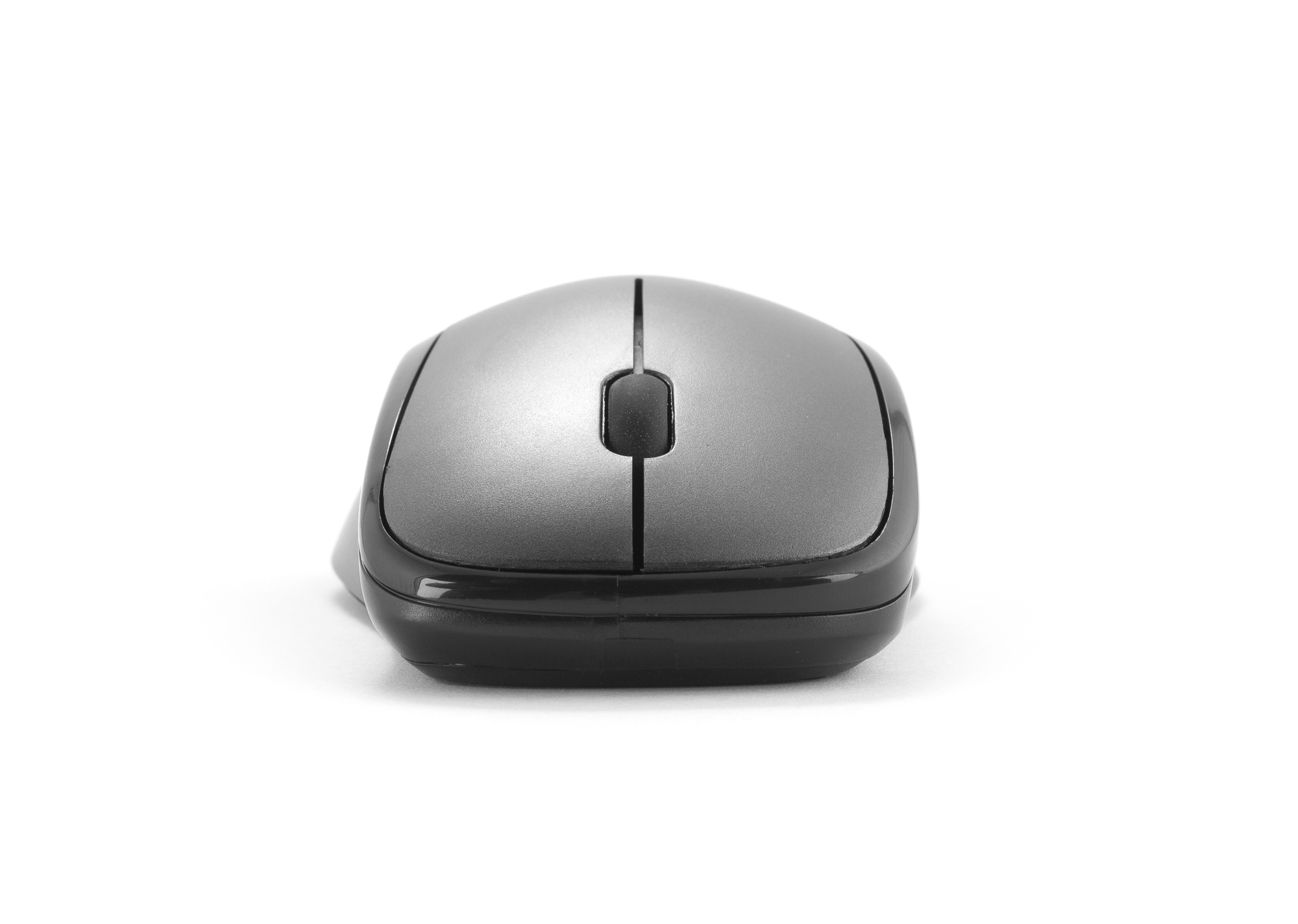 NGS Evo Gray – image 1