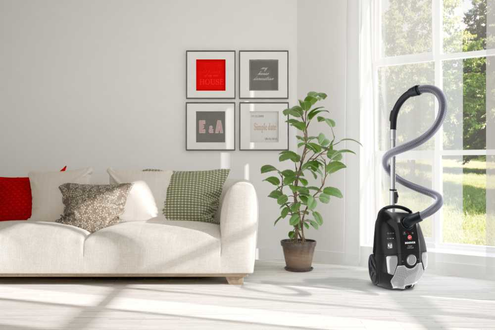 Hoover PC20PET 011 – image 2