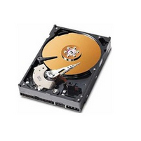 CoreParts 80GB 3.5" IDE 133