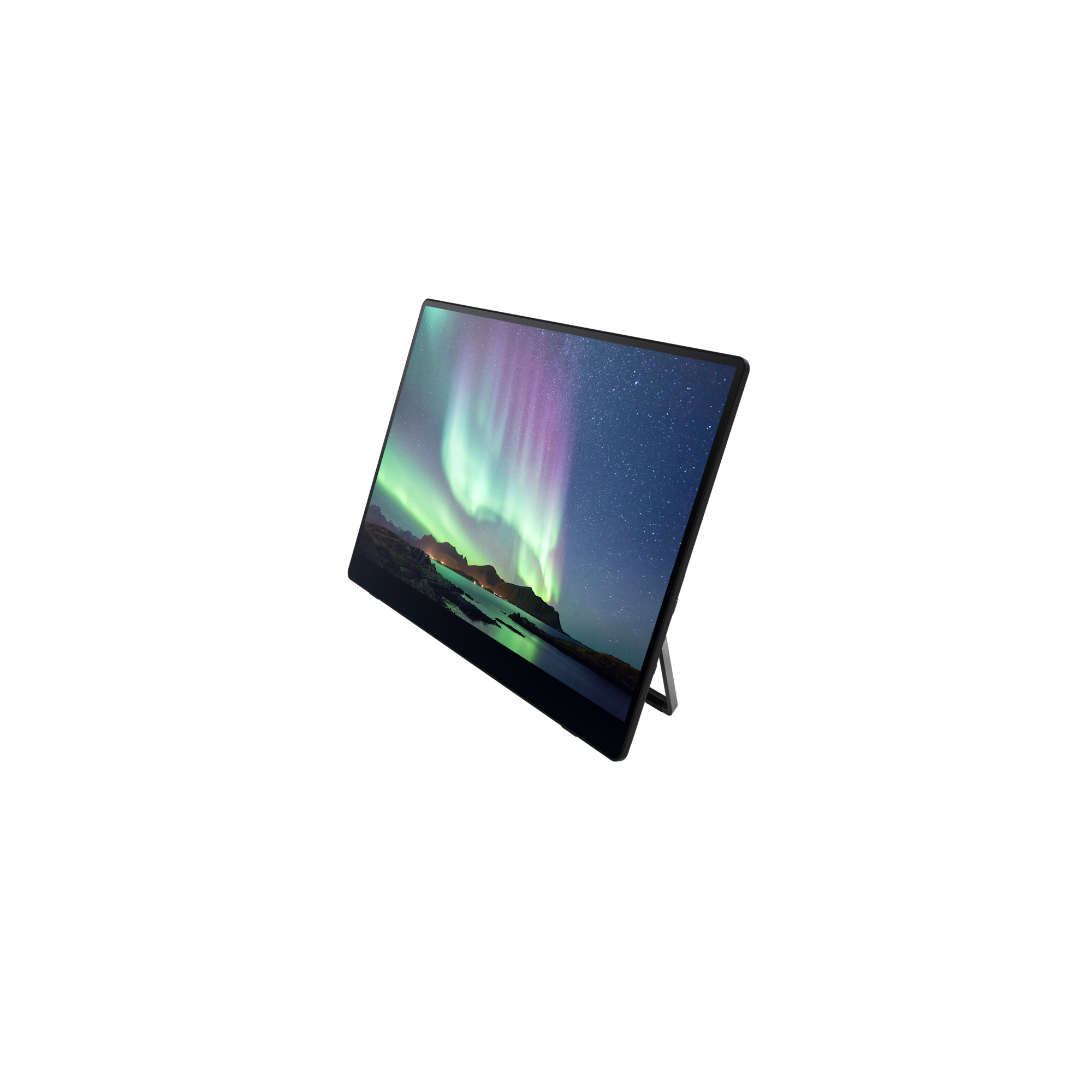 Ricoh Portable Monitor 150 – image 5