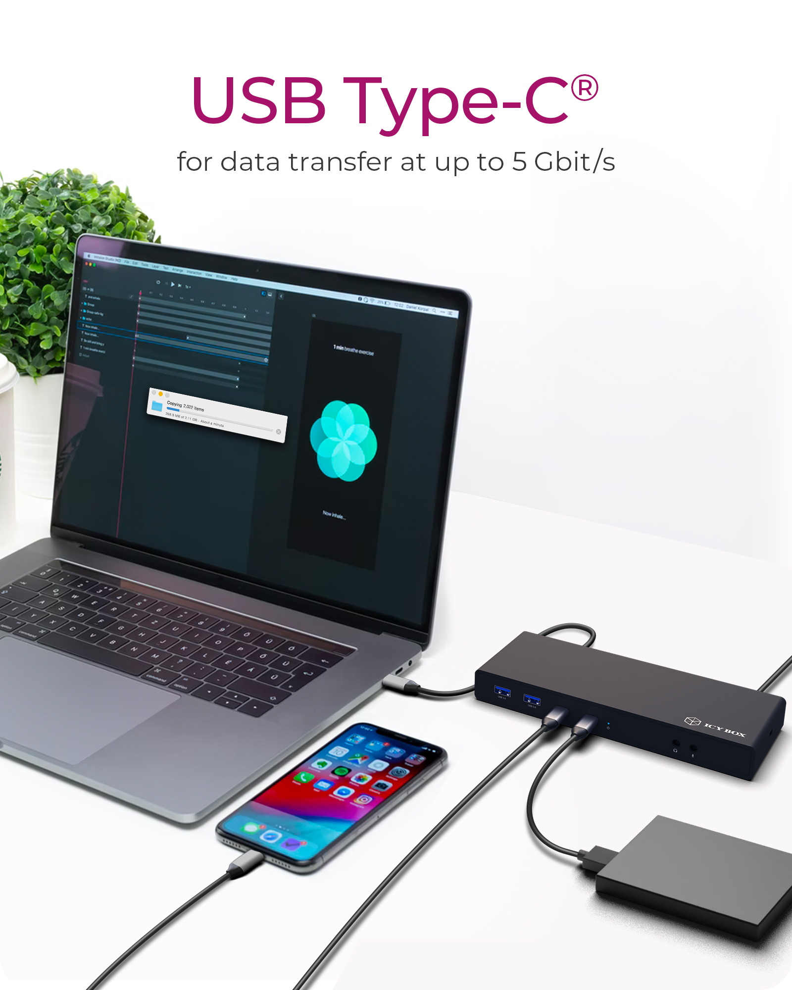 ICY BOX IB-DK2245AC Wired USB 3.2 Gen 1 (3.1 Gen 1) Type-C Black – image 3