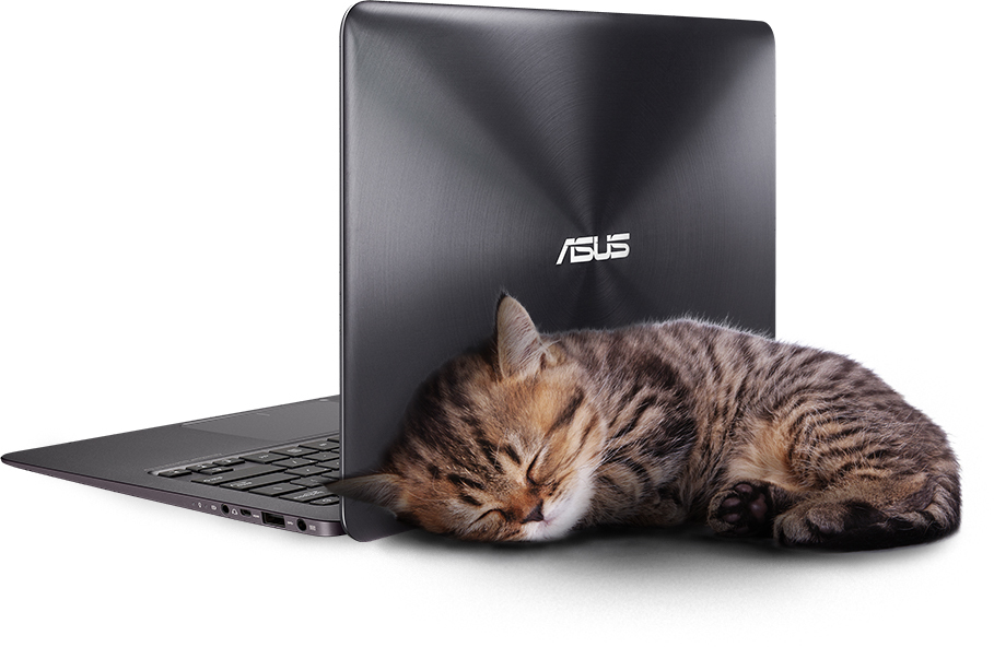 ASUS Zenbook UX305FA-FC166H Intel® Core™ M M-5Y10 Laptop – image 2