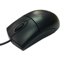 Dell Wyse 770510-21L mouse Ambidextrous PS/2 Optical