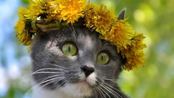 QA_test+EN QA_ST_123456 laptop – image 2
