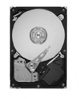 Seagate SV35.3 250 GB SATA 3Gb/s 20pk
