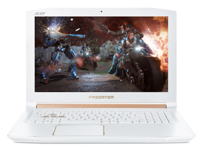 Acer Predator Helios 300 PH315-51-75M6 Intel® Core™ i7 i7-8750H Laptop