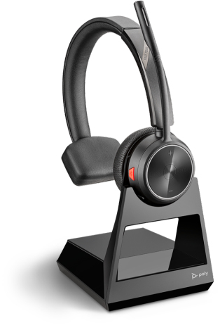 POLY 213010-02