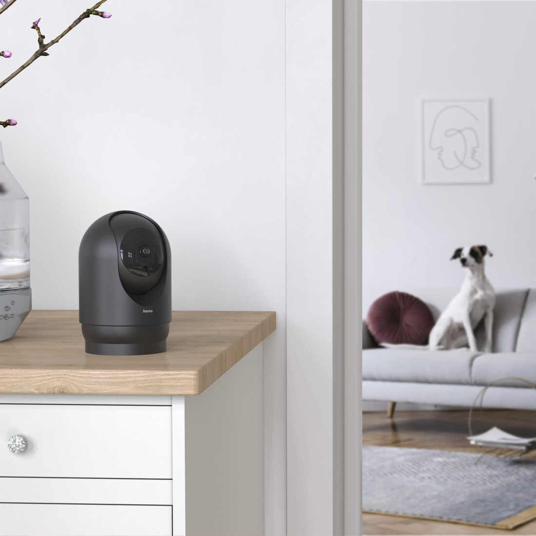 Hama 00176613 security camera Spherical IP security camera Indoor – image 4