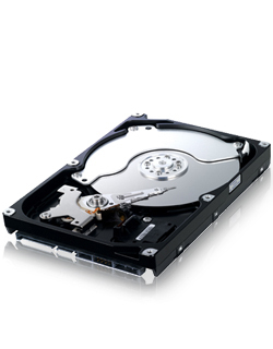 Samsung Spinpoint T HD251KJ internal hard drive