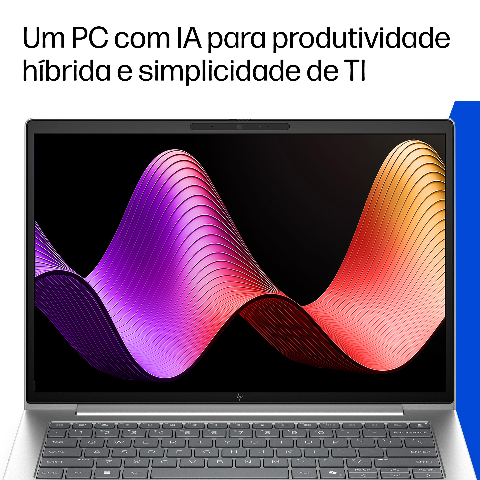 Miniatura 14