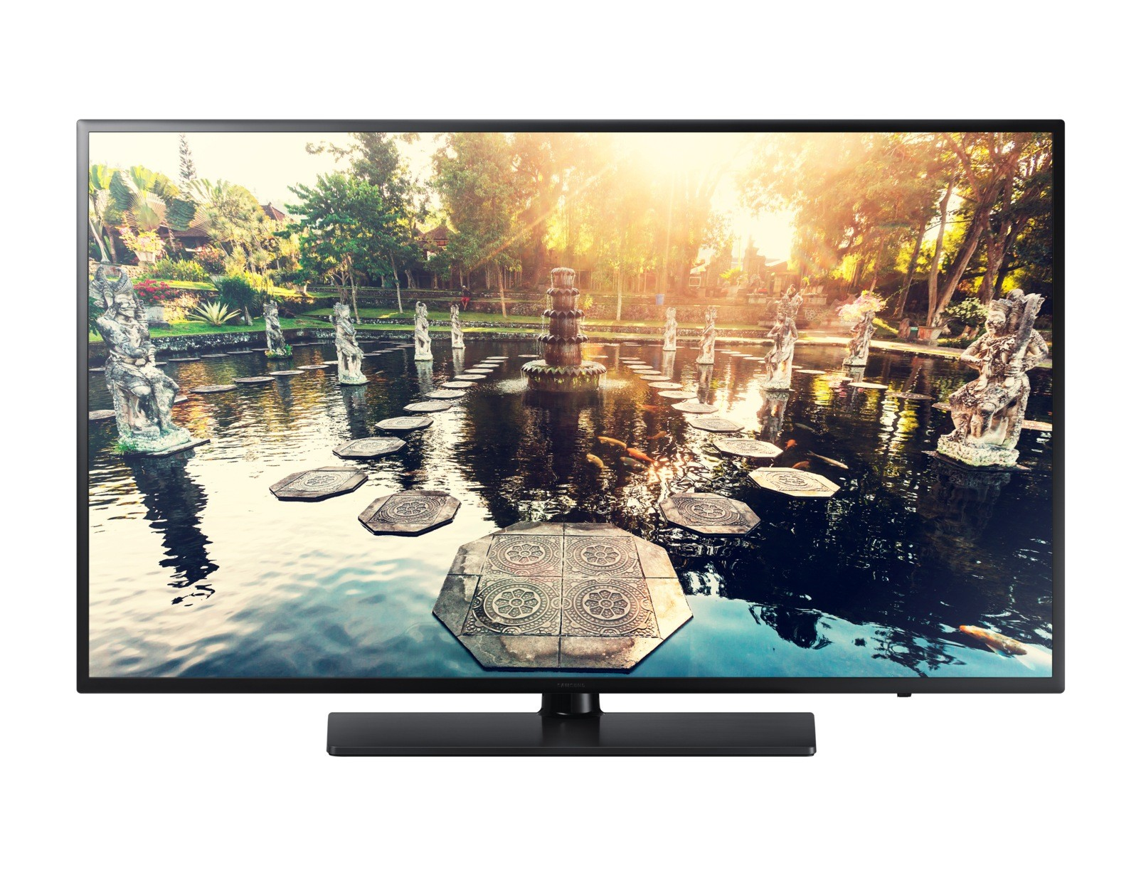 Samsung HG49AE690DW 123.4 cm (48.6") Full HD Smart TV Titanium 20 W – image 1