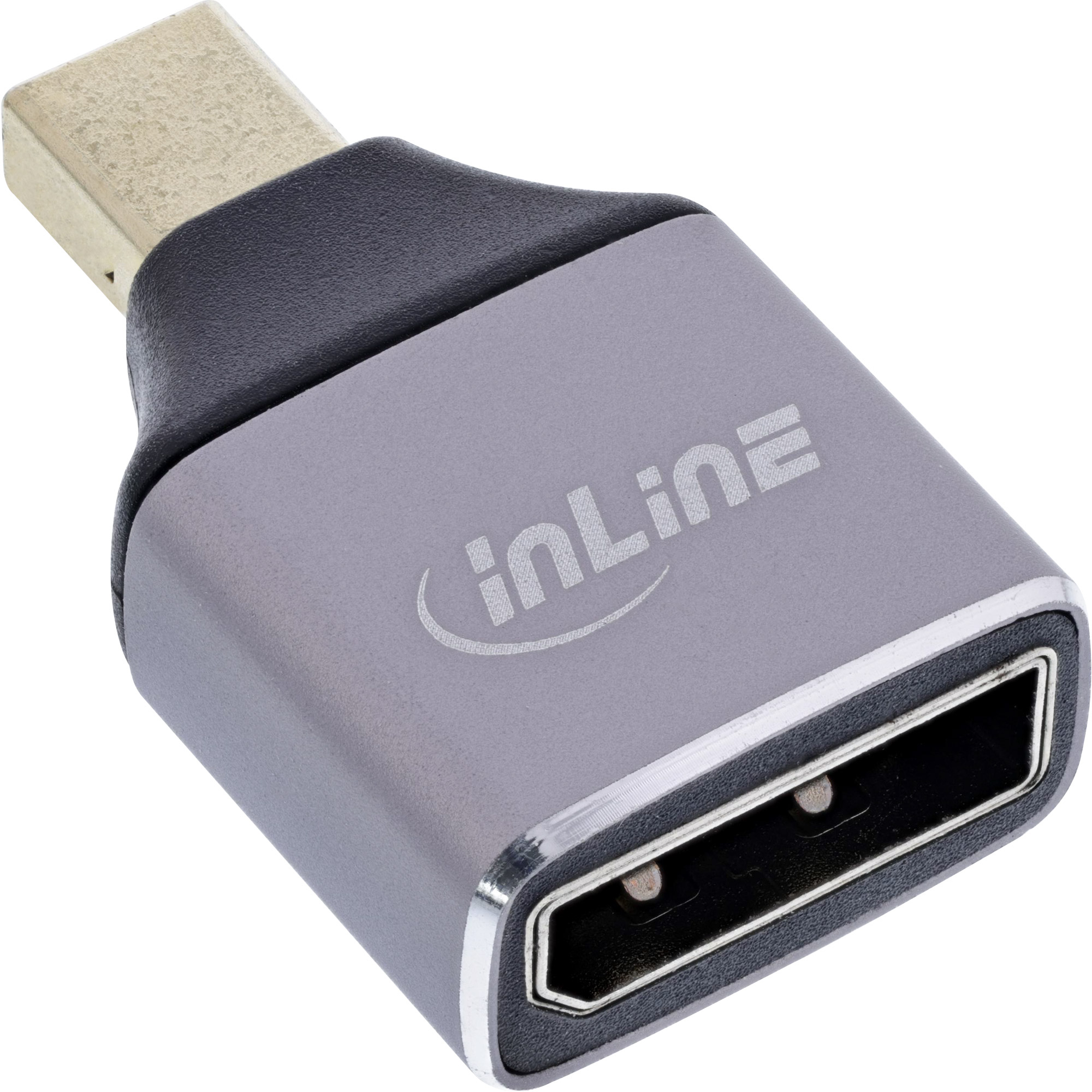 InLine 17291C adattatore per inversione del genere dei cavi DisplayPort Mini DisplayPort Grigio Nero