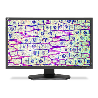 NEC MultiSync MD322C8 computer monitor – image 7