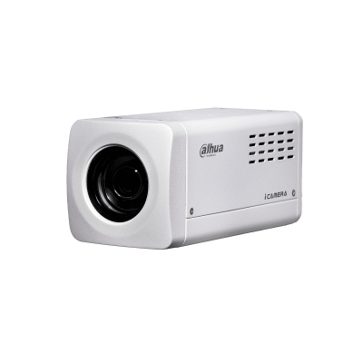 Dahua Technology Pro DH-SDZ2030SN-N security camera IP security camera Indoor