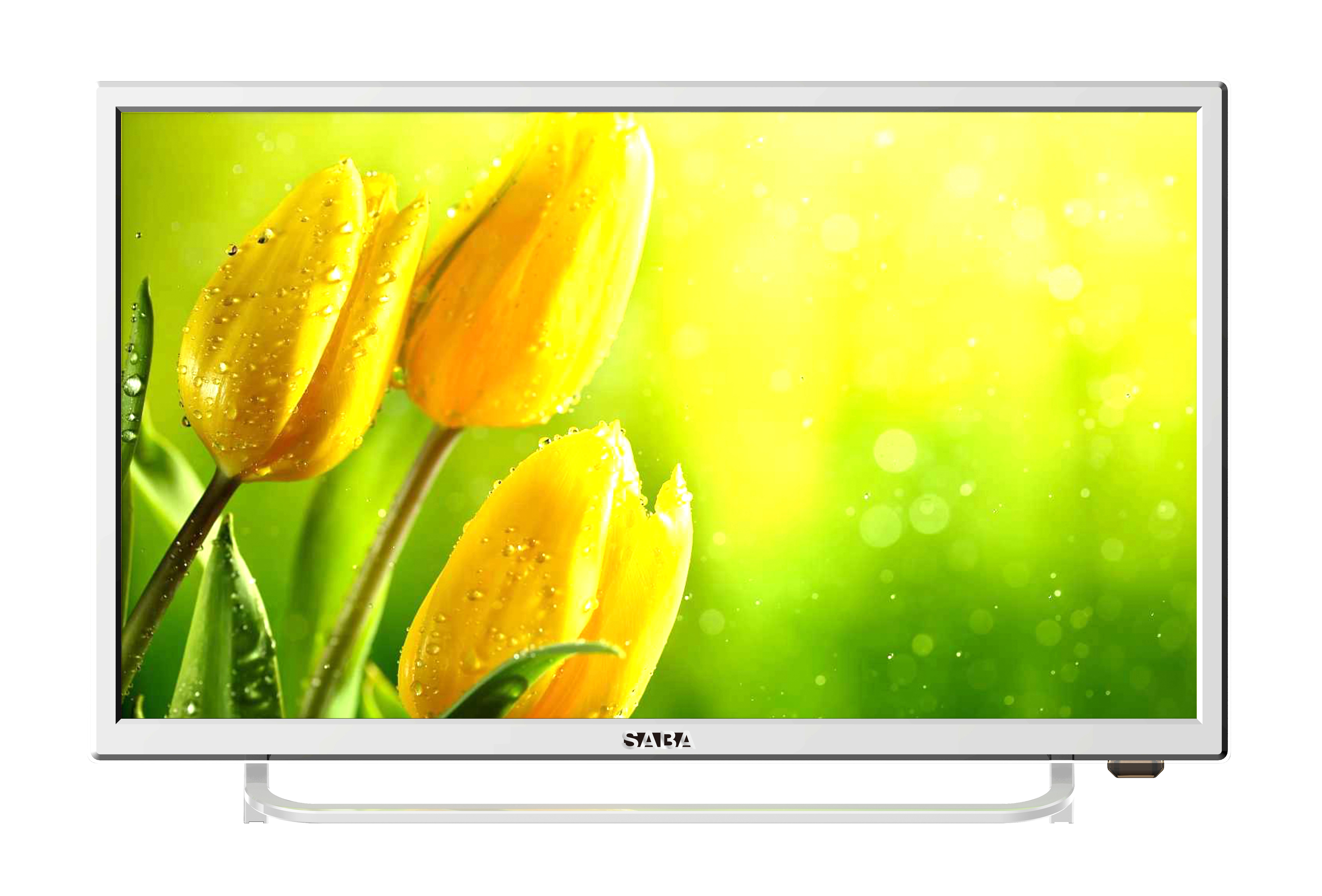 SABA S44N 24" — vue 1 sur 1