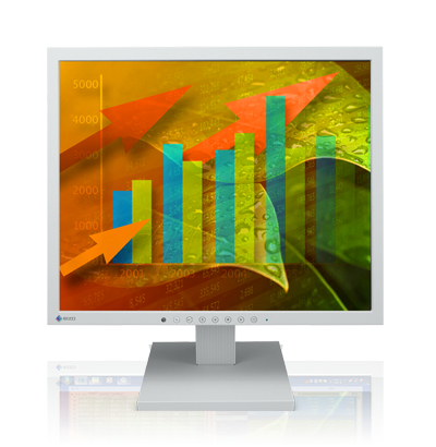 EIZO FlexScan S1703-WT computer monitor